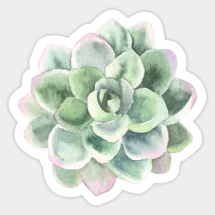 Desert Rose, Succulent Greenery Sticker